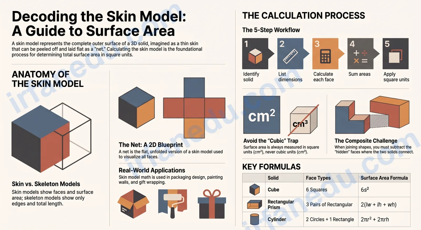 skin model