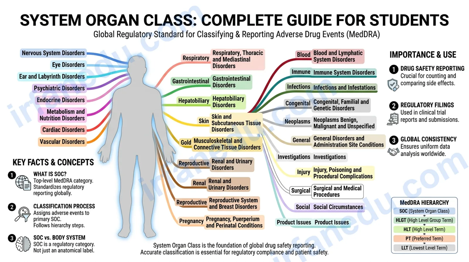 System organ class MedDRA chart showing 27 organ categories with color-coded body system diagram for students