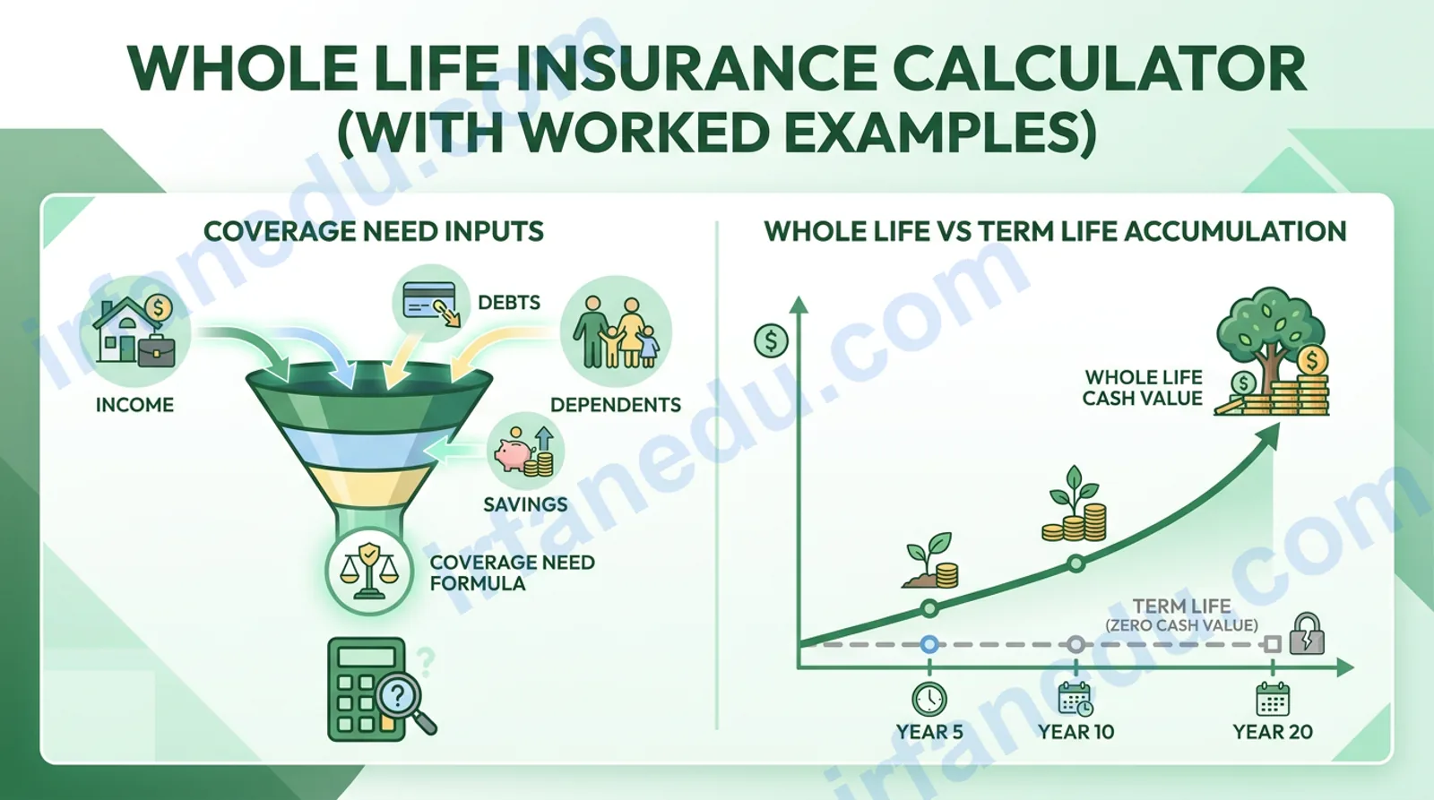 Whole life insurance calculator showing coverage amount, premium estimate, and cash value growth chart for US families